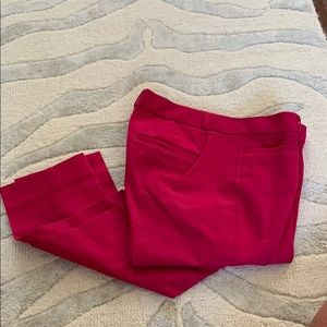 hHot pink sz 08p straight leg pants